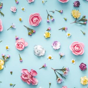 Meet your Posher, Tracey